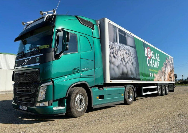 Încărcați imaginea în vizualizatorul Galerie, Inscripționare prin colantare Cars, Trucks & Vans